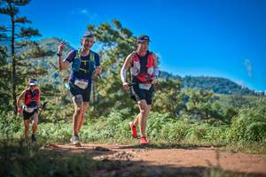 BIB: 9024, 
                            <button type="button" onclick="openModal(19253534)" class="btn btn-primary btn-sm float-right btn-popup" data-toggle="modal" data-target=".modal-high-quality">
                        <i class="fas fa-shopping-cart"></i> Add to Cart
                    </button>
                                            <button type="button" onclick="isThisMe(19253534, true)" class="btn btn-success btn-sm float-right btn-popup btn-isme hidden" data-toggle="tooltip" data-placement="bottom" title="นี่คือรูปของคุณใช่ไหม คลิกที่นี่เพื่อเอาเข้าอัลบั้ม">
                        <i class="fas fa-plus"></i> Add to album
                    </button>
                    <button type="button" onclick="isThisMe(19253534, false)" class="btn btn-warning btn-sm float-right btn-popup btn-isnotme hidden">
                        <i class="fas fa-ban"></i> Remove from album
                    </button>